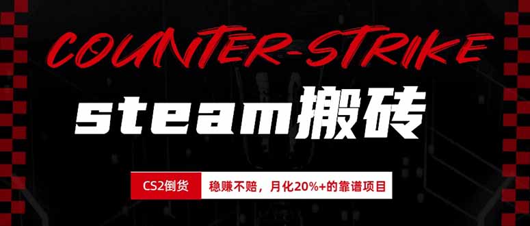 （19918期）steam搬砖，倒卖cs2饰品，达到月化20%+的收益，真正的靠谱可落地长期项目-九节课