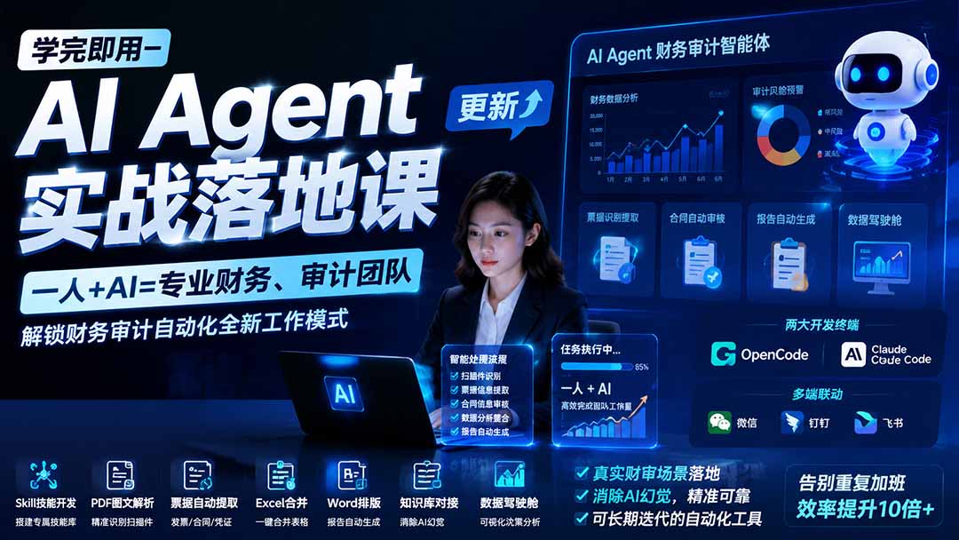 （19740期）学完即用—AI Agent实战落地课-更新：一人+AI=专业财务、审计团队，解锁财务审计自动化全新工作模式-九节课