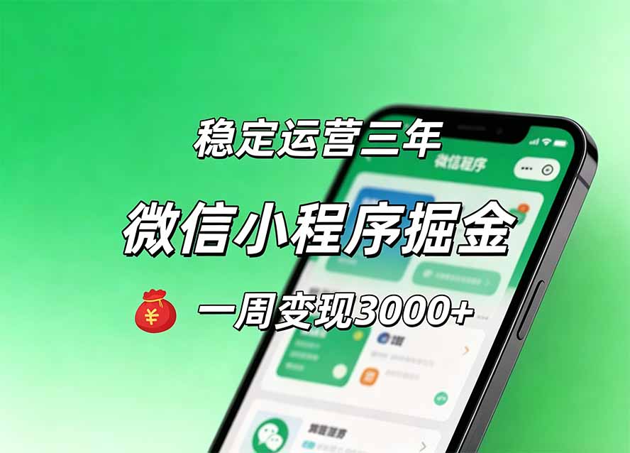 （20077期）月收益稳定1W+的微信小程序，前期积累客户，后期躺平养老，小白轻松上手-九节课