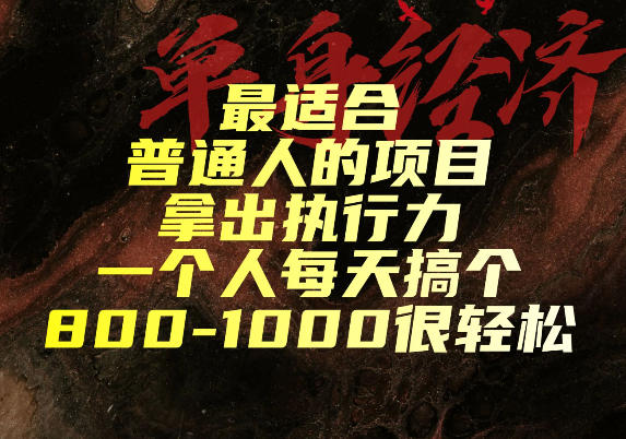 最适合普通人的项目，拿出执行力一个人每天搞个800-1k很轻松【揭秘】-九节课