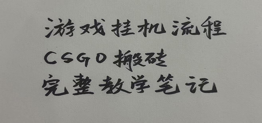 游戏挂机全流程笔记分享，CSGO游戏搬砖，小白看了当天学会见收益-九节课
