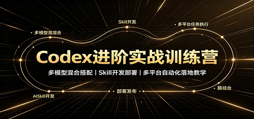 Codex进阶实战训练营：多模型混合搭配，Skill开发部署，多平台自动化落地教学-九节课