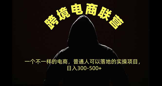 （20702期）跨境电商联营，一个不一样的电商，普通人可操作日入300-500+-九节课