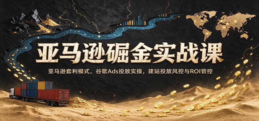 亚马逊掘金实战课：亚马逊套利模式，谷歌Ads投放实操，建站投放风控与ROI管控-九节课