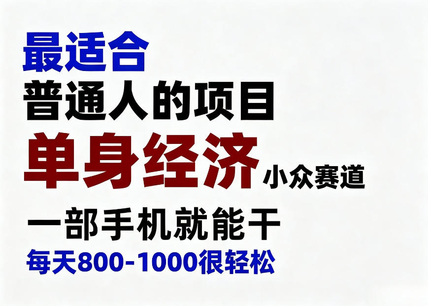 身经济小众赛道，一部手机就能干，每天搞个800-1000很轻松，最适合普通人的项目【揭秘】-九节课