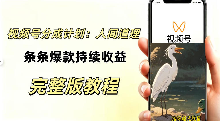 视频号新玩法之AI动漫画风励志视频，不用会画画、不用拍摄，持续化收益，详细拆解-九节课