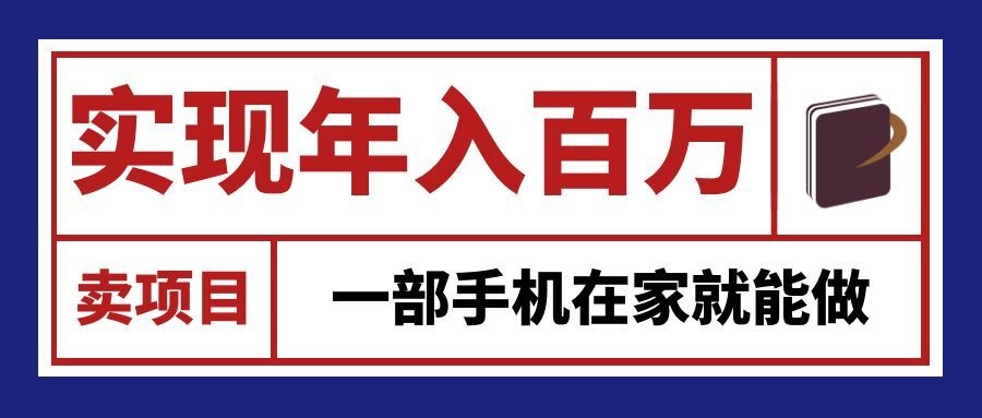 通过网创平台“卖项目”实现年入百万，一部手机在家就能做！-九节课