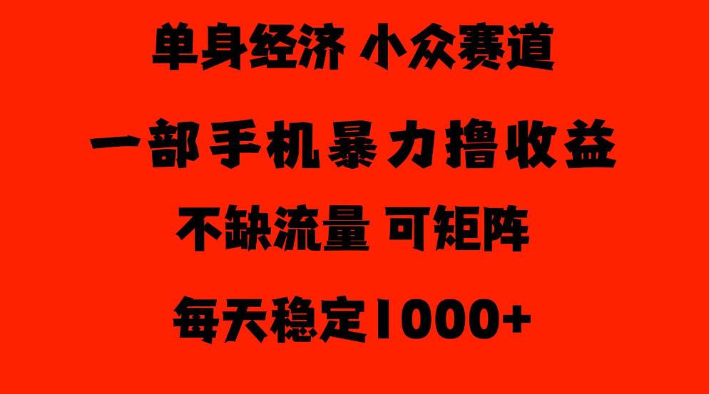26年暴力单身经济，稳定日入500-1k，不缺流量，流量极大，冷门小众赛道，门槛低小白轻松上手【揭秘】-九节课
