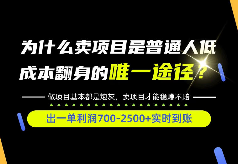 普通人如何靠互联网賺取自己的第一桶金！全类目实操型教学，看完你全都懂了！【揭秘】-九节课